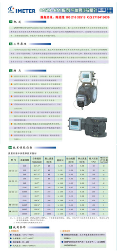 愛美特氣體羅茨流量計RM-40-G25_儀器儀表欄目